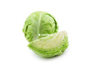 CABBAGE - 2