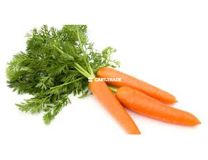 CARROT - 2