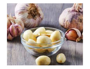 GARLIC - 2
