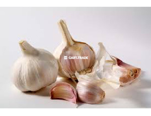 GARLIC - 3