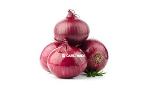 RED ONION - 4