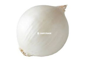 SALAD ONION - 2