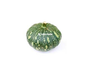 AFRICAN PUMPKIN - 2