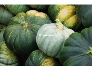 AFRICAN PUMPKIN - 3