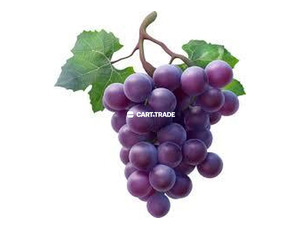 GRAPES - 2