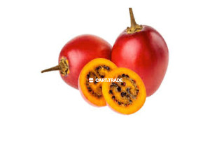 TREE TOMATO - 3