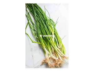GREEN ONION/1kg - 4