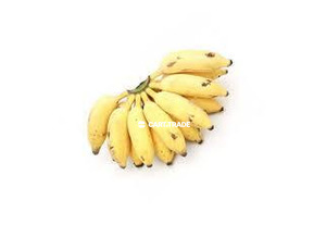 SMALL BANANA/1kg - 2