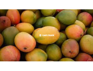 Mangoes/1kg - 2