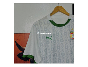 Senegal National Team 2024/25 Home Jersey - 2