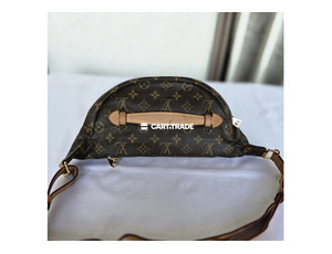Pre-Owned Louis Vuitton Monogram Bumbag - 3