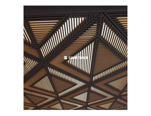 2024 NEW CEILING MODEL