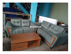 ELEGANT LIVING ROOM SOFA