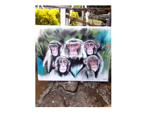 MOUNTAIN MONKEY