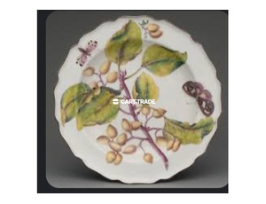 6p plate