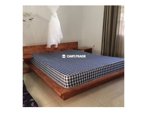 Cypres with Stain Bed