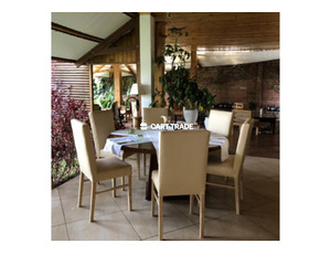Cypress and Upholstered Chair