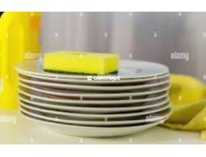 Plate