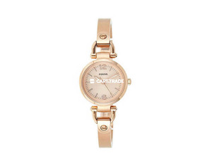 Fossil Analog